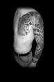 /album/strong-tattoo-art/a20170605-141117-jpg/